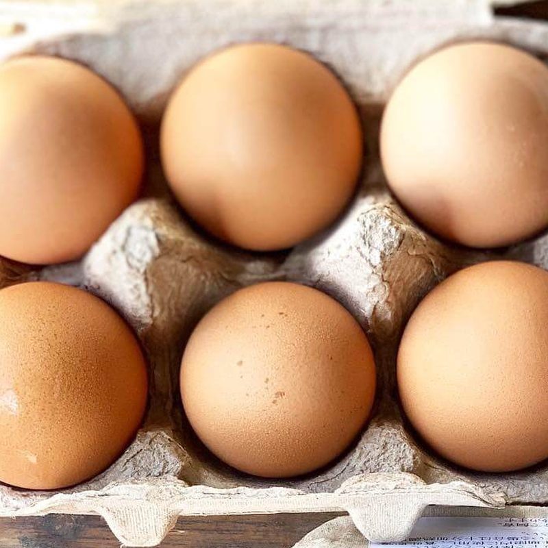 Free-range eggs